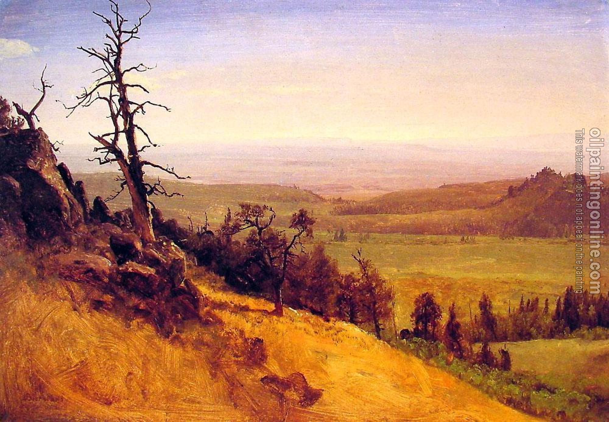 Bierstadt, Albert - Nebraska Wasatch Mountains